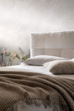 PAT ESSENTIAL - imagine 3