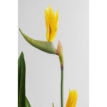 Planta decorativa Paradise Flowers 190cm