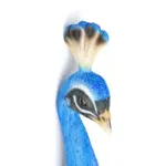 DECORAȚUNE DE PERETE PEACOCK - imagine 4