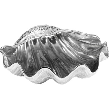 Frapiera Shell
