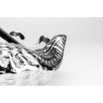 Frapiera Shell