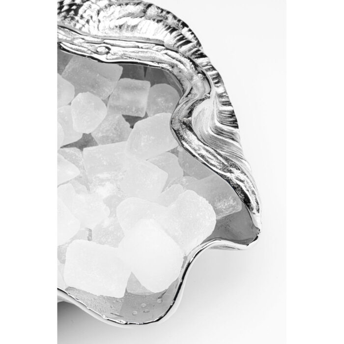 Frapiera Shell