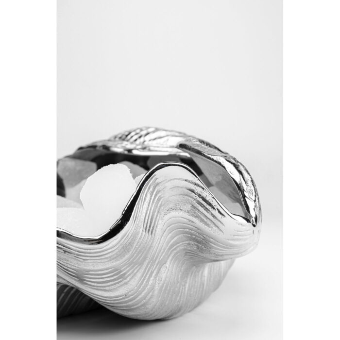 Frapiera Shell