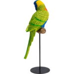 Figurina decorativa Parrot Verde36cm
