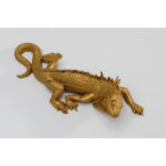 Decoratiune de perete Lizard 31x11cm