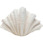 Vaza decorativa Concha 57 cm