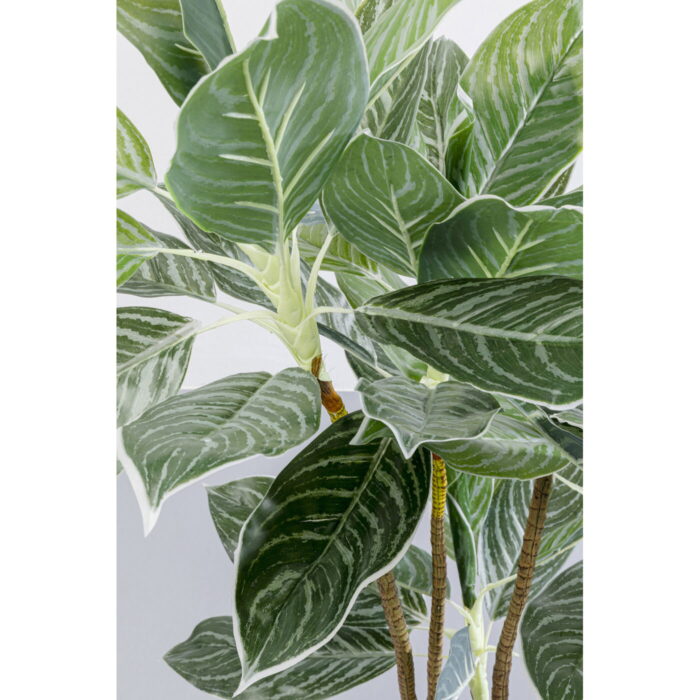 Planta decorativa Calathea 140cm