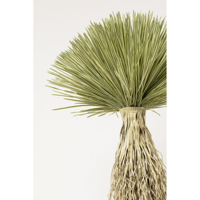 Planta decorativa Yucca Rostrata 240 cm
