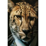 Tablou de sticla Mister Leo 100x150 cm