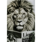 Tablou de sticla Bath Lion 60x80 cm
