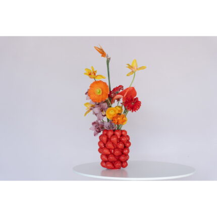 Vaza Strawberries Rosu 24 cm
