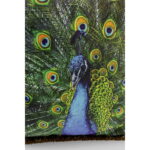 Perna Peacock 45x45 cm