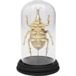 Obiect decorativ Stag Beetle 20 cm
