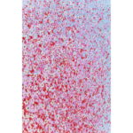 Tablou panza Flower Boat albastru roz 30x40cm