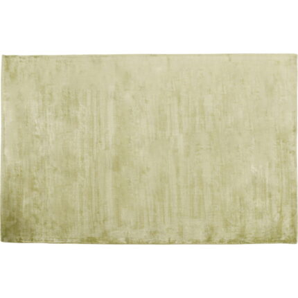 Covor Cosy verde 170x240cm