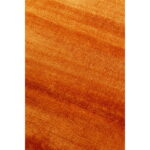 Covor Cosy Rust 200x300cm