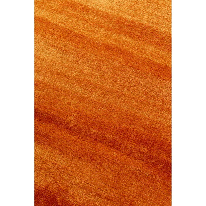 Covor Cosy Rust 200x300cm