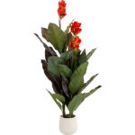 Planta decorativa Canna Lily 165 cm