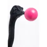 DECORAȚUNE DE PERETE OSTRICH BUBBLE 41CM - imagine 5