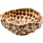 Bol Dotti Ø31cm