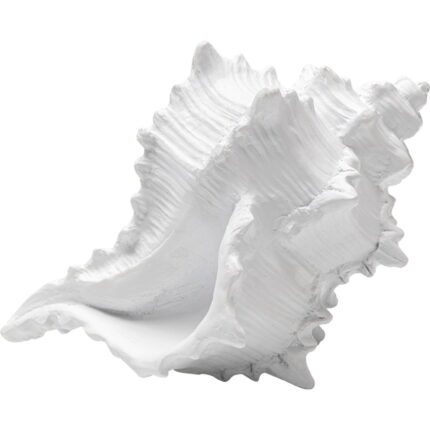 Obiect decorativ Conch 19cm