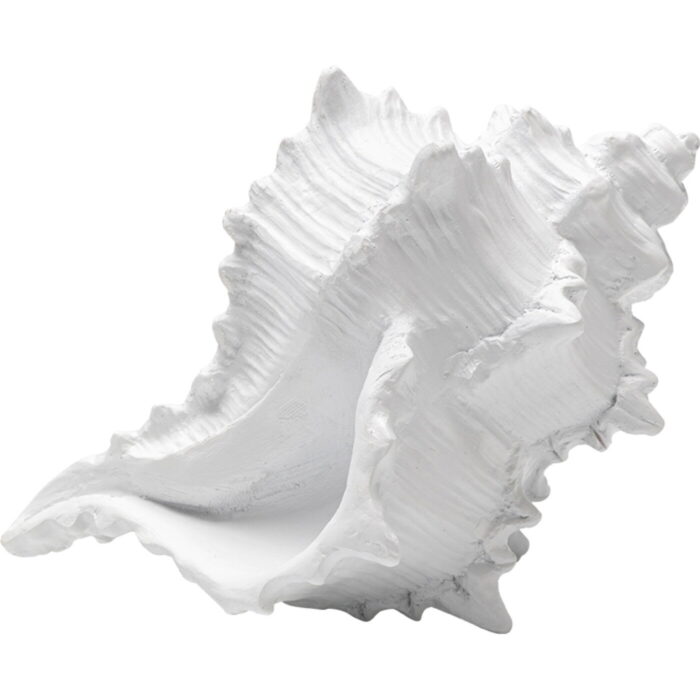 Obiect decorativ Conch 19cm