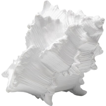 Obiect decorativ Conch 19cm