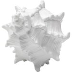 Obiect decorativ Conch 19cm