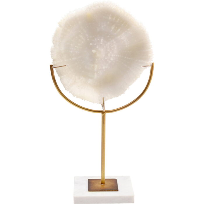 Obiect decorativ Coral 39cm