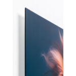 Tablou de sticlă Suit Lion 80x120cm