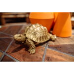 Figurina Decorativa Turtle Auriu Small
