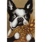 Tablou Dog with Pineapple 80x80cm