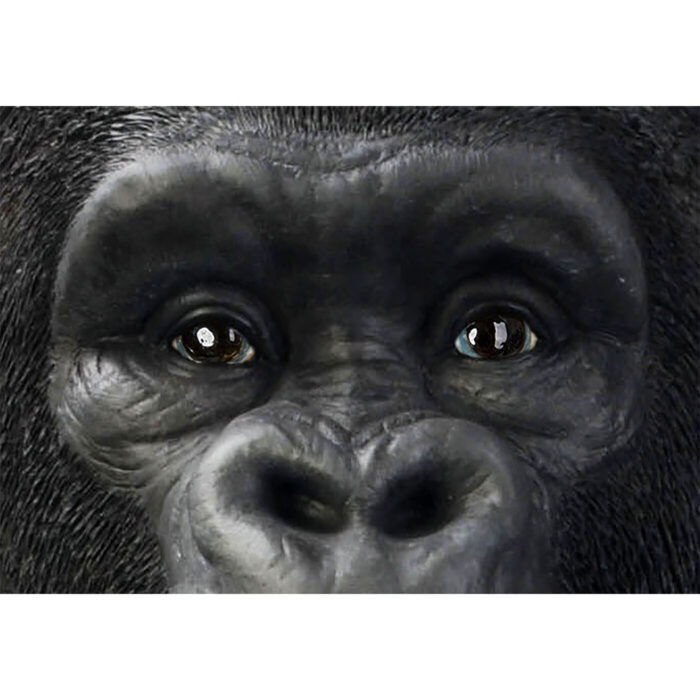 Figurina decorativa Monkey Gorilla Front XXL