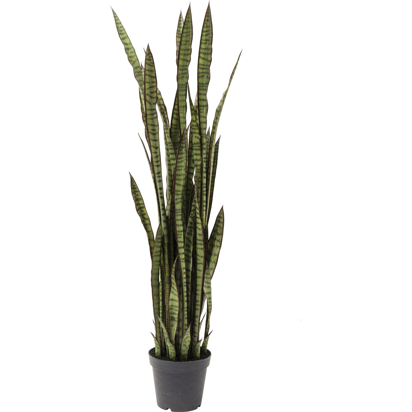 ©_ Planta decorativa Sansewieria 155cm