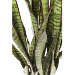 Planta decorativa Sansewieria 155cm