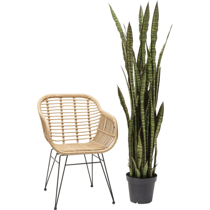 Planta decorativa Sansewieria 155cm