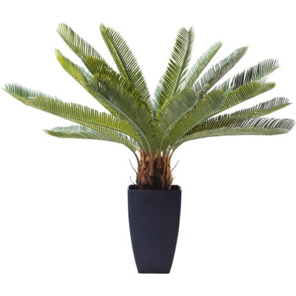 Planta decorativa Cycas Tree 78cm