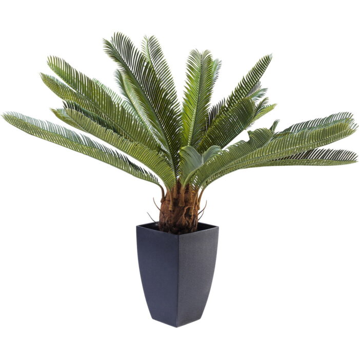 Planta decorativa Cycas Tree 78cm