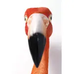 DECORAȚUNE DE PERETE FLAMINGO ROAD 72 CM - imagine 4