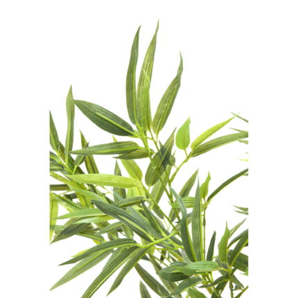 Planta decorativaBamboo Tree 200cm