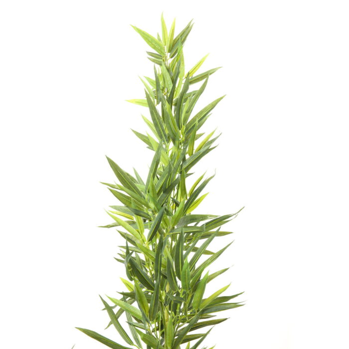 Planta decorativaBamboo Tree 200cm