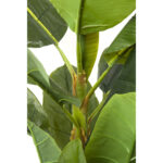 Planta decorativa Banana Tree 180cm