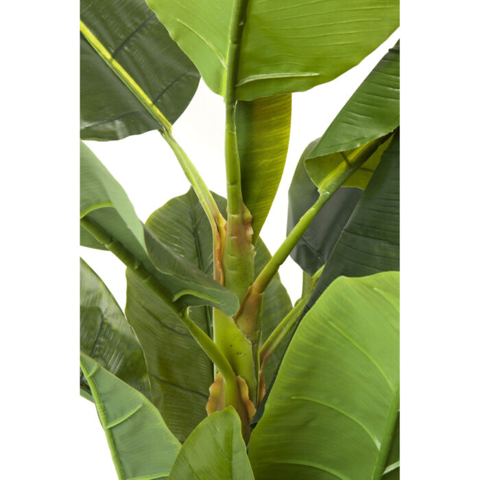 Planta decorativa Banana Tree 180cm