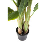 Planta decorativa Banana Tree 180cm