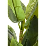 Planta decorativa Banana Tree 180cm