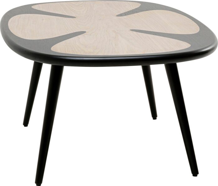 MASUTA DE CAFEA PETAL NATURE NEGRU 90X60 CM