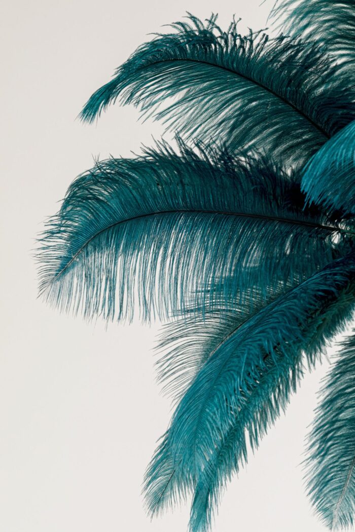 LUSTRĂ TIP PENDUL FEATHER PALM VERDE Ø60 CM