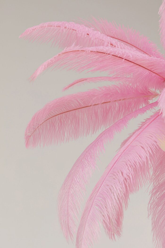 LUSTRĂ TIP PENDUL FEATHER PALM ROZ Ø60 CM