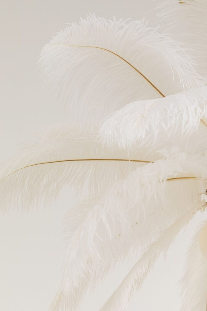 LUSTRĂ TIP PENDUL FEATHER PALM ALB Ø60 CM