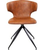 SCAUN RUSTY